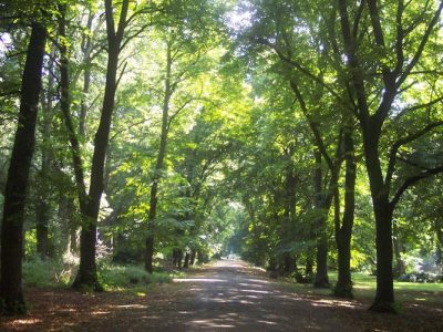 Alexandra-Park